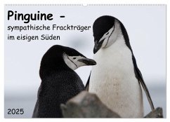 Pinguine - sympathische Frackträger im eisigen Süden (Wandkalender 2025 DIN A2 quer), CALVENDO Monatskalender