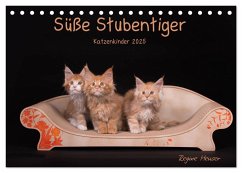 Süße Stubentiger - Katzenkinder (Tischkalender 2025 DIN A5 quer), CALVENDO Monatskalender