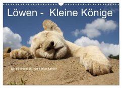 Löwen - Kleine Könige (Wandkalender 2025 DIN A3 quer), CALVENDO Monatskalender - Calvendo;Sander, Stefan