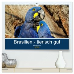 Brasilien tierisch gut 2025 (hochwertiger Premium Wandkalender 2025 DIN A2 quer), Kunstdruck in Hochglanz - Calvendo;Bergwitz, Uwe