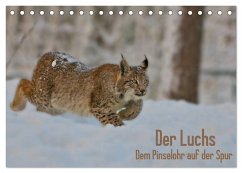 Der Luchs - Dem Pinselohr auf der Spur (Tischkalender 2025 DIN A5 quer), CALVENDO Monatskalender