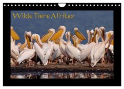 Wilde Tiere Afrikas (Wandkalender 2025 DIN A4 quer), CALVENDO Monatskalender