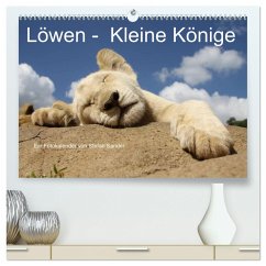 Löwen - Kleine Könige (hochwertiger Premium Wandkalender 2025 DIN A2 quer), Kunstdruck in Hochglanz - Calvendo;Sander, Stefan