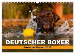 Deutscher Boxer - Boxer im Wasser 2025 (Wandkalender 2025 DIN A3 quer), CALVENDO Monatskalender