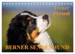 Treuer Freund Berner Sennenhund (Tischkalender 2025 DIN A5 quer), CALVENDO Monatskalender