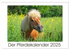 Der Pferdekalender (Wandkalender 2025 DIN A3 quer), CALVENDO Monatskalender