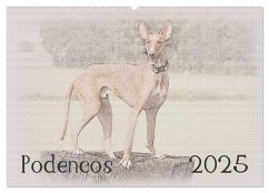 Podencos 2025 (Wandkalender 2025 DIN A2 quer), CALVENDO Monatskalender - Calvendo;Redecker, Andrea