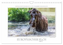 Emotionale Momente: Europäischer Elch Part II (Wandkalender 2025 DIN A4 quer), CALVENDO Monatskalender