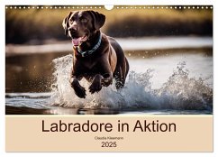 Labradore in Aktion (Wandkalender 2025 DIN A3 quer), CALVENDO Monatskalender