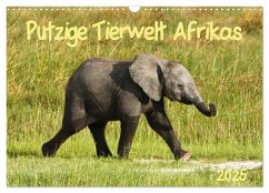 Putzige Tierwelt Afrikas (Wandkalender 2025 DIN A3 quer), CALVENDO Monatskalender - Calvendo;Haase, Nadine