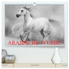 Arabische Pferde (hochwertiger Premium Wandkalender 2025 DIN A2 quer), Kunstdruck in Hochglanz