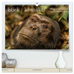 blick kontakt mit tieren im östlichen und südlichen afrika (hochwertiger Premium Wandkalender 2025 DIN A2 quer), Kunstdruck in Hochglanz