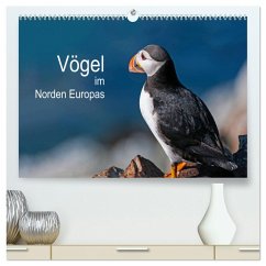 Vögel im Norden Europas (hochwertiger Premium Wandkalender 2025 DIN A2 quer), Kunstdruck in Hochglanz