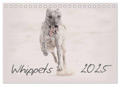 Whippet 2025 (Tischkalender 2025 DIN A5 quer), CALVENDO Monatskalender