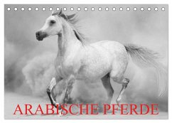 Arabische Pferde (Tischkalender 2025 DIN A5 quer), CALVENDO Monatskalender - Calvendo;Stanzer, Elisabeth