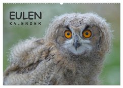 Eulen-Kalender (Wandkalender 2025 DIN A2 quer), CALVENDO Monatskalender