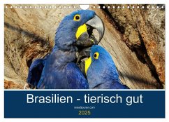 Brasilien tierisch gut 2025 (Wandkalender 2025 DIN A4 quer), CALVENDO Monatskalender - Calvendo;Bergwitz, Uwe