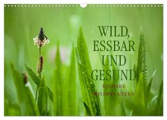 WILD, ESSBAR UND GESUND Essbare Wildpflanzen (Wandkalender 2025 DIN A3 quer), CALVENDO Monatskalender