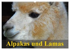 Alpakas und Lamas (Wandkalender 2025 DIN A2 quer), CALVENDO Monatskalender