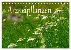 Arzneipflanzen (Tischkalender 2025 DIN A5 quer), CALVENDO Monatskalender