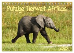 Putzige Tierwelt Afrikas (Tischkalender 2025 DIN A5 quer), CALVENDO Monatskalender - Calvendo;Haase, Nadine