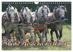 Starke Pferde bei der Arbeit (Wandkalender 2025 DIN A4 quer), CALVENDO Monatskalender