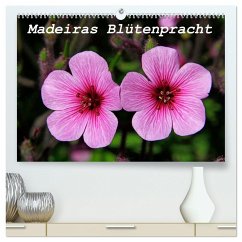 Madeiras Blütenpracht (hochwertiger Premium Wandkalender 2025 DIN A2 quer), Kunstdruck in Hochglanz