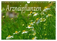 Arzneipflanzen (Wandkalender 2025 DIN A4 quer), CALVENDO Monatskalender - Calvendo;LianeM