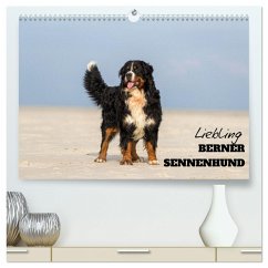 Liebling BERNER SENNENHUND (hochwertiger Premium Wandkalender 2025 DIN A2 quer), Kunstdruck in Hochglanz