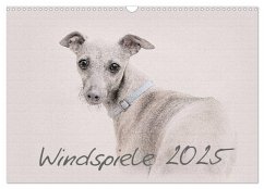 Windspiele 2025 (Wandkalender 2025 DIN A3 quer), CALVENDO Monatskalender