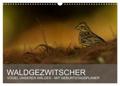 Waldgezwitscher - Vögel unserer Wälder (Wandkalender 2025 DIN A3 quer), CALVENDO Monatskalender