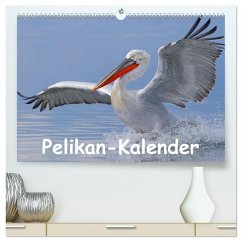 Pelikan-Kalender (hochwertiger Premium Wandkalender 2025 DIN A2 quer), Kunstdruck in Hochglanz