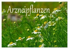 Arzneipflanzen (Wandkalender 2025 DIN A2 quer), CALVENDO Monatskalender
