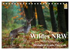 Wildes NRW - Beeindruckende Tierwelt (Tischkalender 2025 DIN A5 quer), CALVENDO Monatskalender - Calvendo;Rosengarten, Stefan