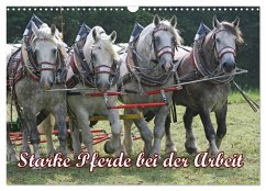Starke Pferde bei der Arbeit (Wandkalender 2025 DIN A3 quer), CALVENDO Monatskalender