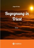 Begegnung in Triest - Ein spannender Politthriller (eBook, ePUB)