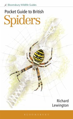 Pocket Guide to British Spiders - Lewington, Richard