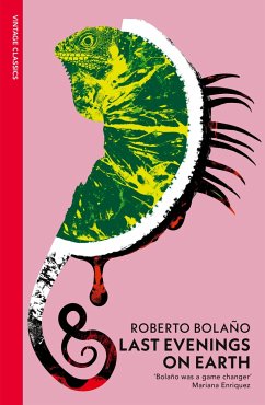 Last Evenings On Earth - Bolano, Roberto