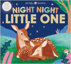 Night Night Little One - Priddy, Roger