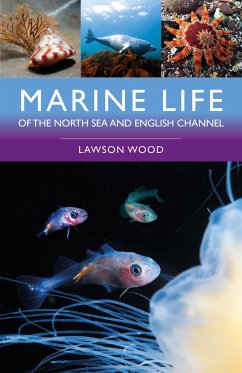 Marine Life of the North Sea and English Channel - Wood, Lawson