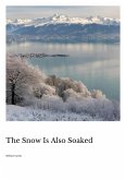 The Snow Is Also Soaked (eBook, ePUB)