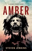 Amber (eBook, ePUB)