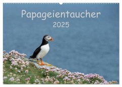 Papageientaucher 2025 (Wandkalender 2025 DIN A2 quer), CALVENDO Monatskalender - Calvendo;Leimer, Stefan