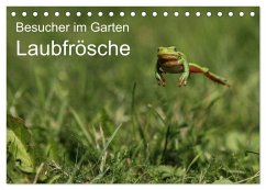 Besucher im Garten - Laubfrösche (Tischkalender 2025 DIN A5 quer), CALVENDO Monatskalender