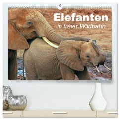 Elefanten in freier Wildbahn (hochwertiger Premium Wandkalender 2025 DIN A2 quer), Kunstdruck in Hochglanz - Calvendo;Stanzer, Elisabeth