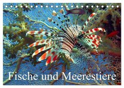 Fische und Meerestiere (Tischkalender 2025 DIN A5 quer), CALVENDO Monatskalender - Calvendo;Stanzer, Elisabeth