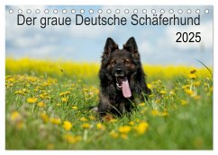 Der graue Deutsche Schäferhund (Tischkalender 2025 DIN A5 quer), CALVENDO Monatskalender - Calvendo;Schiller, Petra