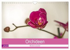 Blütenzauber Orchideen (Wandkalender 2025 DIN A4 quer), CALVENDO Monatskalender