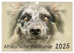 Altdeutsche Hütehunde 2025 (Wandkalender 2025 DIN A4 quer), CALVENDO Monatskalender - Calvendo;Redecker, Andrea