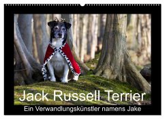 Jack Russell Terrier.....Ein Verwandlungskünstler namens Jake (Wandkalender 2025 DIN A2 quer), CALVENDO Monatskalender